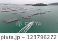 航拍，瀨戶內航拍，瀨戶內海，牡蠣捕撈船，無人機，牡蠣筏 123796272