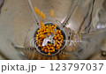 Close-up of frozen sea buckthorn berries poured into a large blender jar to prepare jam puree for tea or cooking vibrant colors icy textures natural flavors artisanal process homemade creativity. 123797037