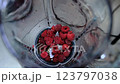 Close up of frozen raspberries poured into large blender jar for raspberry jam puree vibrant colors icy textures sweet flavors fruit preparation artisanal process homemade natural dessert 123797038