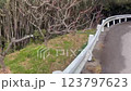 Wakayama rice fields, mountain roads, forests and guardrails 123797623