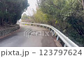 Wakayama countryside mountain path, bamboo grove and cedar 123797624
