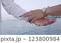 Couple standing together. Woman dressed in traditional Indian clothes, hindu wedding. Close up 123800984