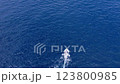 Aerial view drone over beach sea. 123800985