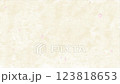 櫻花花瓣在日式紙質背景上翩翩起舞的垂直循環視頻 123818653