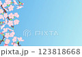 櫻花枝在藍色漸變背景上搖曳垂直循環視頻 123818668