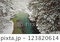 長野県南木曽町　降雪した冬の阿寺渓谷の風景 123820614