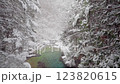 長野県南木曽町　降雪した冬の阿寺渓谷の風景 123820615