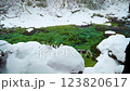 長野県南木曽町　降雪した冬の阿寺渓谷の風景 123820617
