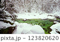 長野県南木曽町　降雪した冬の阿寺渓谷の風景 123820620