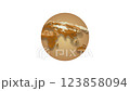 world map sightseeing animation banner brown world. Animation with (4K) rendering. 123858094