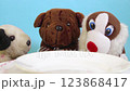 Empty plate for dinner to hungry toy dogs 123868417