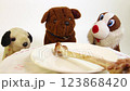 One big natural bone for dinner to small toy dogs 123868420