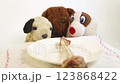 One big natural bone for dinner to small toy dogs 123868422