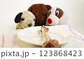 One big natural bone for dinner to small toy dogs 123868423