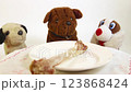 One big natural bone for dinner to small toy dogs 123868424