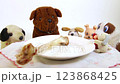 One big natural bone for dinner to small toy dogs 123868425