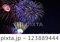Fireworks that spread to the night sky 123889444