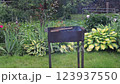 Barbecue grill with fire on the green lawn 123937550