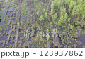 an exploited peat bog flooded by a spring flood, aerial view 123937862
