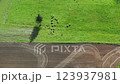 flock of sheep in an autumn meadow near plowing, aerial view 123937981
