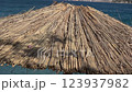 Antikyra beach with a reed umbrella on the coast, Greece 123937982