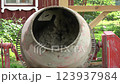 A concrete mixer is mixing concrete in the farmyard 123937984