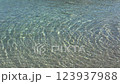 clean and clear sea water at Antikyra beach, Greece 123937988