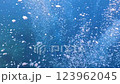 A video of a huge number of air bubbles rising from the ocean floor 123962045
