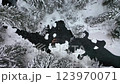 カレリアの雪に覆われた冬の森林と川（ドローン撮影） 123970071