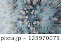 雪に覆われた冬の森林のカレリア地方（ドローン撮影） 123970075