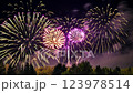 煙花蔓延到夜空 123978514