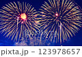 藍色夜空中綻放的五彩煙火 123978657