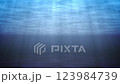 水中。上から光が降り注ぎ、水面が光っている。ループ。 123984739