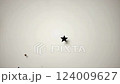 開幕式星形彩紙 124009627