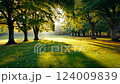 黎明時分綠意盎然的公園 124009839