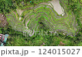 Bali rice fields 124015027
