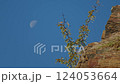 Half moon in a clear blue sky with blurred branches and rocky foreground. Minimalistic nature photography. Tranquility and space concept 124053664