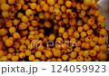 Close up of blender blending frozen sea buckthorn berries into smooth puree for tea and culinary vibrant colors icy textures fresh natural flavors artisanal preparation perfect slow motion. 124059923