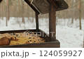 A bird feeder in snowy pine forest filled with millet nuts sunflower seeds surrounded by serene winter scenery natural textures cozy atmosphere inviting wildlife and enriching the winter landscape. 124059927