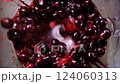 Close-up blender blending frozen blackcurrants into smooth puree vibrant colors icy textures fresh natural flavors artisanal preparation perfect for desserts beverages or culinary recipes slow motion. 124060313