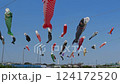 Children's Day Image - The 26th Kokubugawa Carp Streamer Festival (Ichikawa City, Chiba Prefecture) 124172520