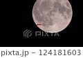 Big Moon in the starry sky 124181603