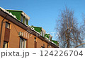 Long icicles are hanging down from a greenroofed building, with bare trees standing against a bright blue sky 124226704