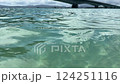 The Sea of Kouri Island 6 124251116