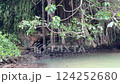 Hija River and Nature 124252680