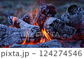 Bonfire flame close-up slow motion 124274546