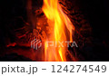Flame bonfire close-up slow motion 124274549