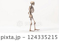 白背景で歩くアニメーション風の人体骨格モデル 124335215