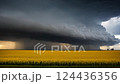 A massive storm cloud approaching a vibrant yellow field, creating a dramatic and contrasting landscape. The image represents the power and beauty of nature's forces. 124436356