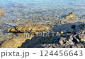 Ocean, rocks, waves, clear water, calm landscape, shallow sea close-up 124456643